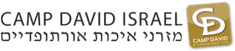 לוגו קמפ דיויד
