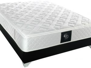 מזרן זוגי אורתופדי משולב קפיצי Multi System טוליפ סטייל פילוטופ Camp David